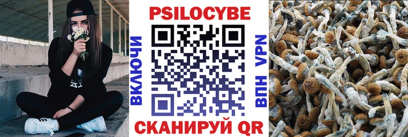 Галлюциногенные грибы Psilocybe  Барнаул 